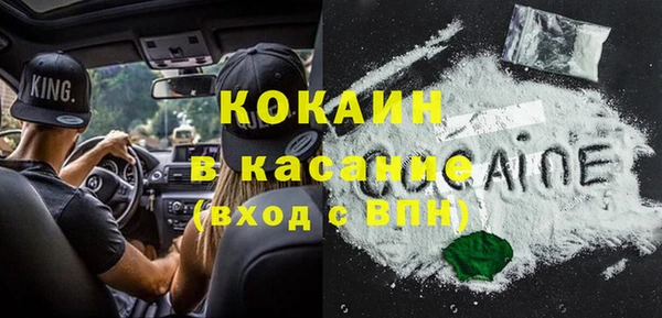 крисы Щигры