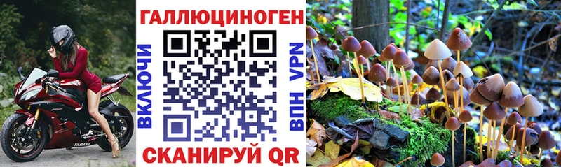 Псилоцибиновые грибы ЛСД  Кочубеевское 